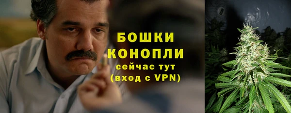 mdpv Богородск